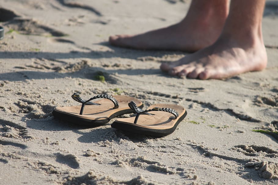 sandals, slippers, beach, sand, legs, feet, mountain pine, flip flops, summer, leisure
