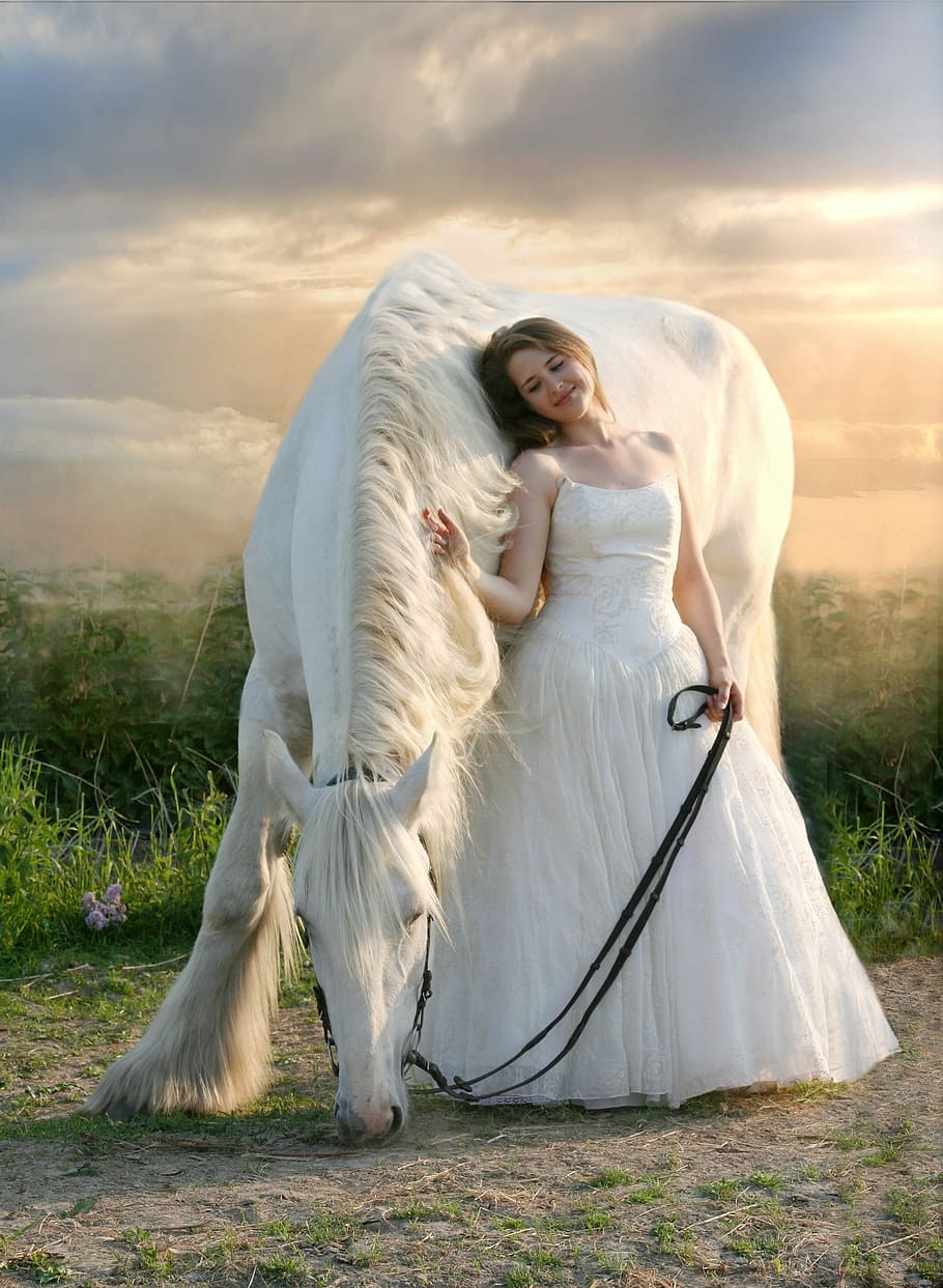 bride, leaning, white, horse, shire, equine, white horse, draft, white dress, sunset