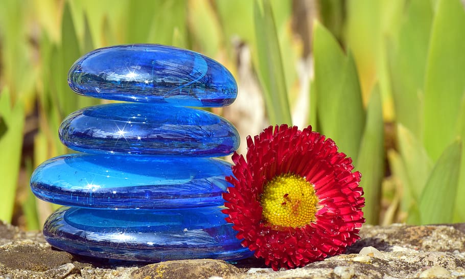 nature, harmony, zen, meditation, stone, background, flower, blossom, bloom, red