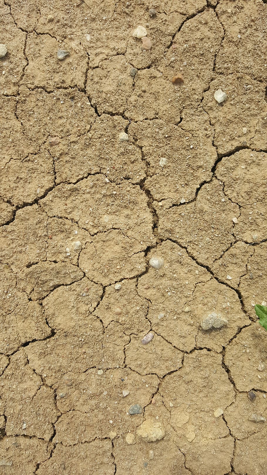 terra seca, solo seco, seca, textura, queimada, o fundo, quente, rachado, clima, ambiente