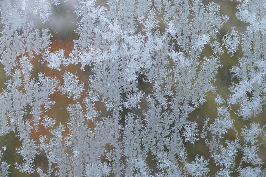 winter, ice, frost, nature, crystals, ice flowers, backgrounds, full frame, pattern, snow