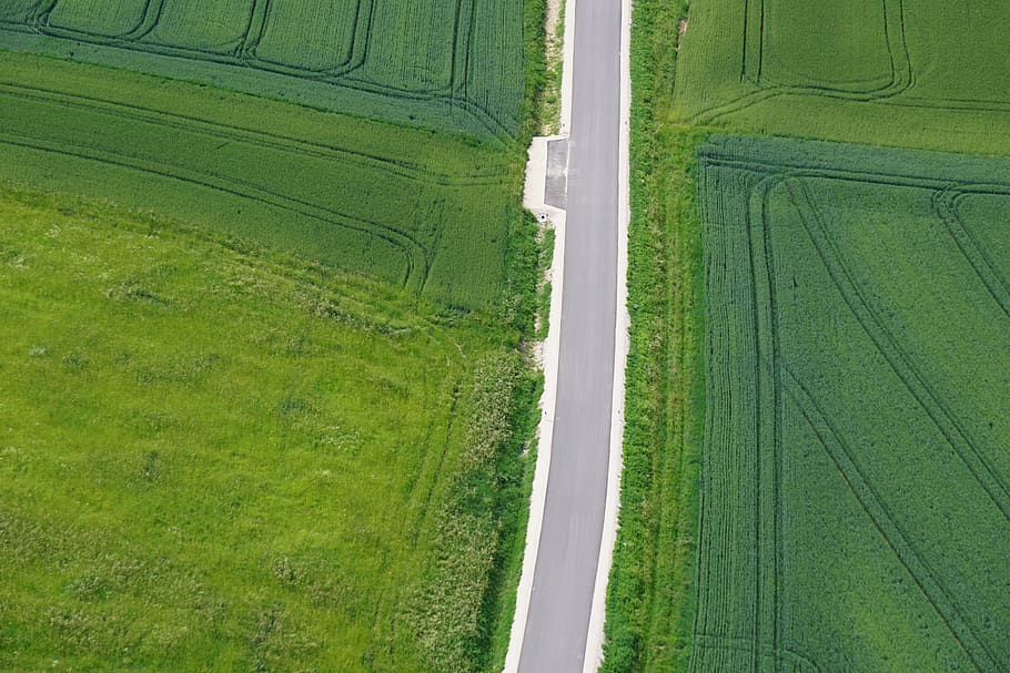 from above, field, road, landscape, aerial view, green, rural, nature, sunny, background
