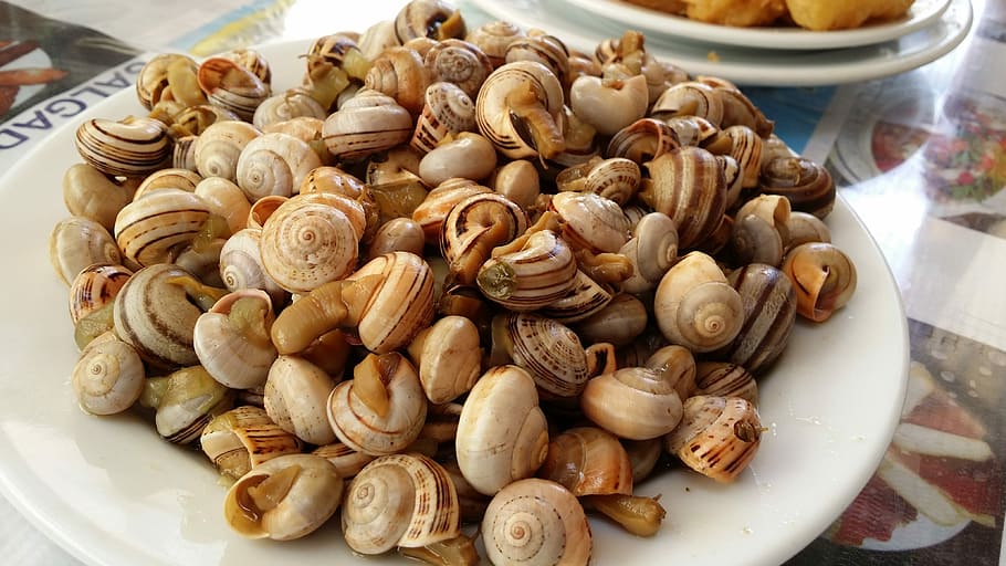 snails, snail, stew, food, food and drink, freshness, wellbeing, close-up, indoors, healthy eating