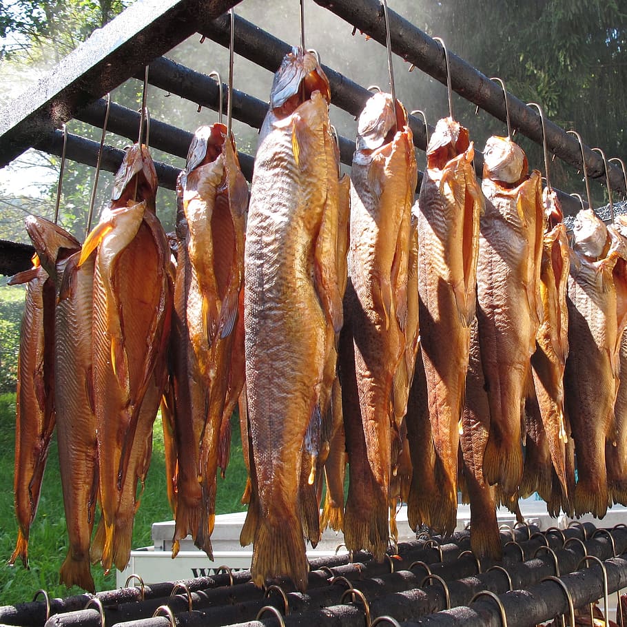 fish, smoked, smoked fish, char, fischraeucherei, food, food and drink, animal, vertebrate, freshness