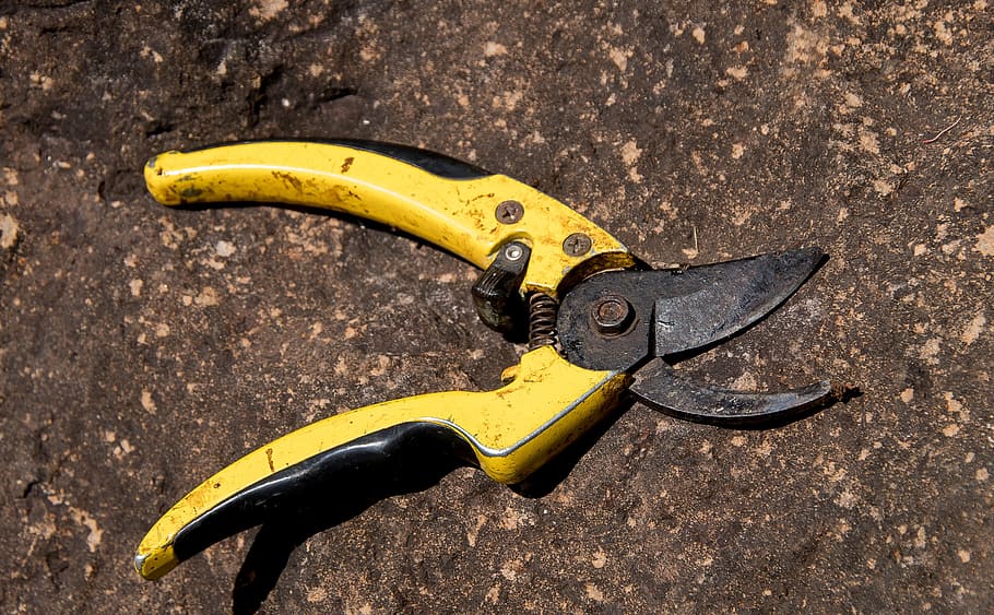 secateurs, tool, pruning, cutting, garden, equipment, scissors, blade, yellow, work tool