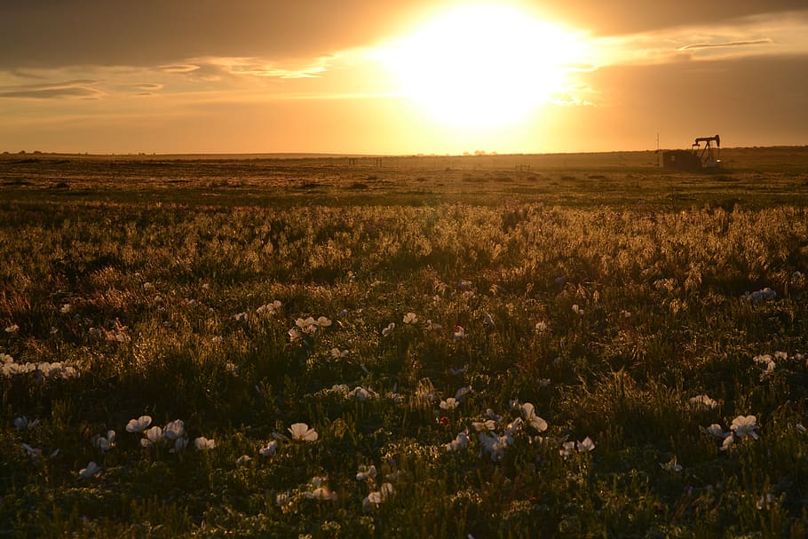prairie, sunset, landscape, field, oil well, sky, beauty in nature, scenics - nature, tranquil scene, tranquility