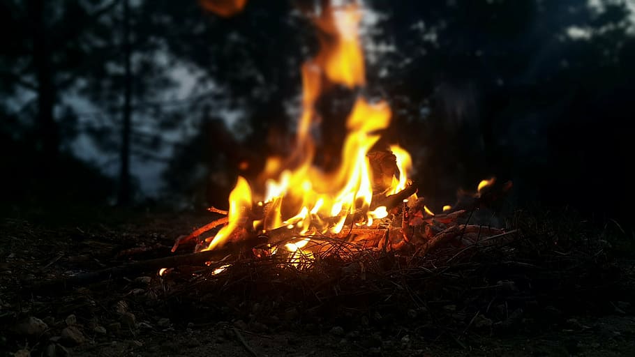 fire photo, fire, outdoors, nature, flame, forest, hot, campfire, wood, lifestyle