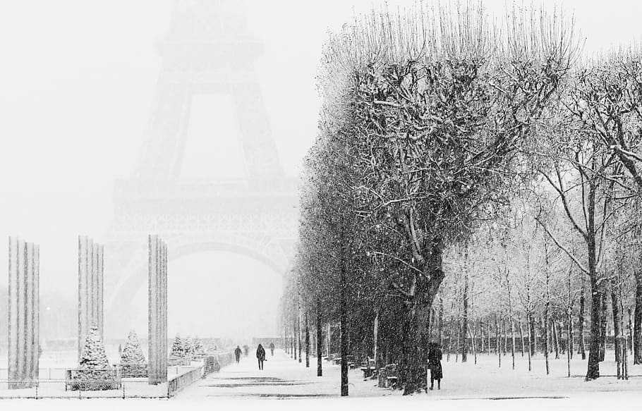 Paris, Neve, Torre Eiffel, Inverno, Frio, luz, dezembro, França, Preto e branco, Paris - França