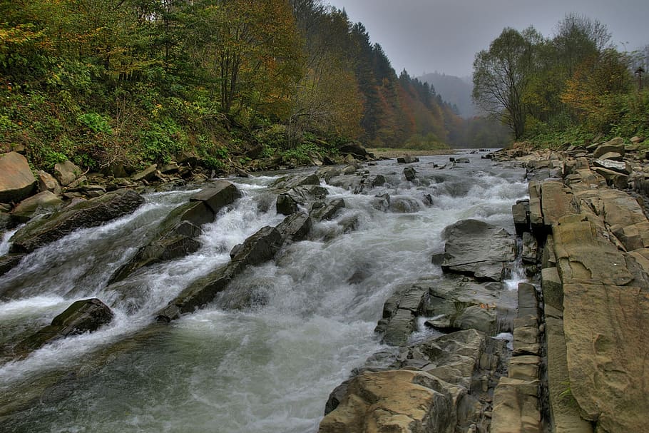 parte monolítica das águas, rio, natureza, rocha, cachoeira, pecaminoso, bieszczady, polônia, beleza na natureza, árvore