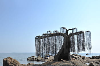 sea-sculpture-republic-of-korea-royalty-free-thumbnail.jpg