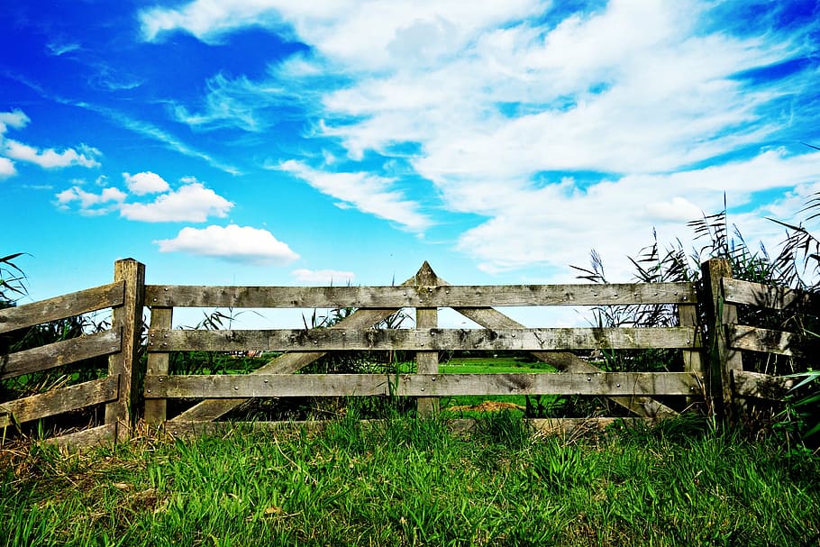 brown, fence, blue, sky, gate, forbidden, keep out, wooden gate, closed, field