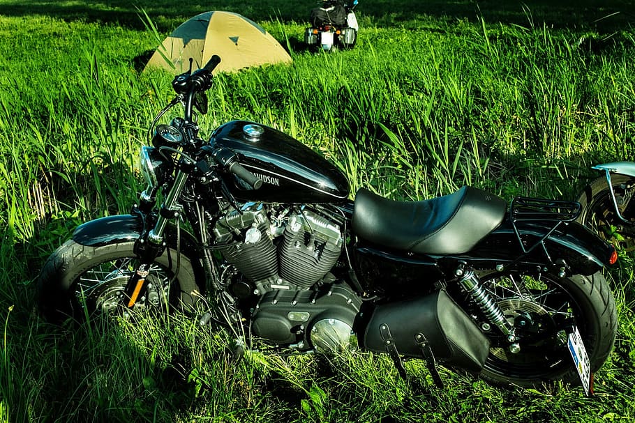 black, green, cruiser motorcycle, motorcycle, motor, harley, davidson, meadow, grass, plant
