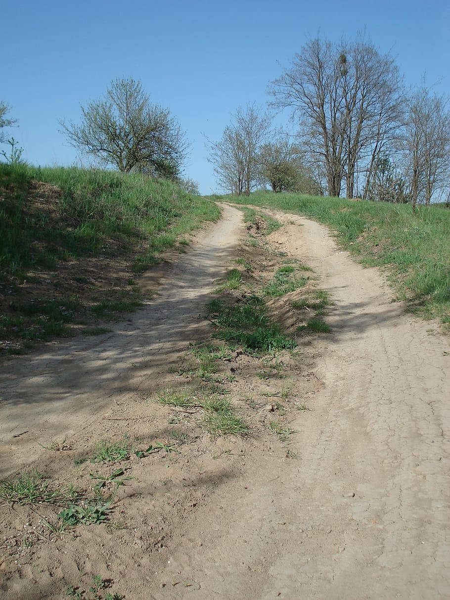 Dirt Road, Rural, Field, Path, road, field path, farm track, country lane, hill, summer