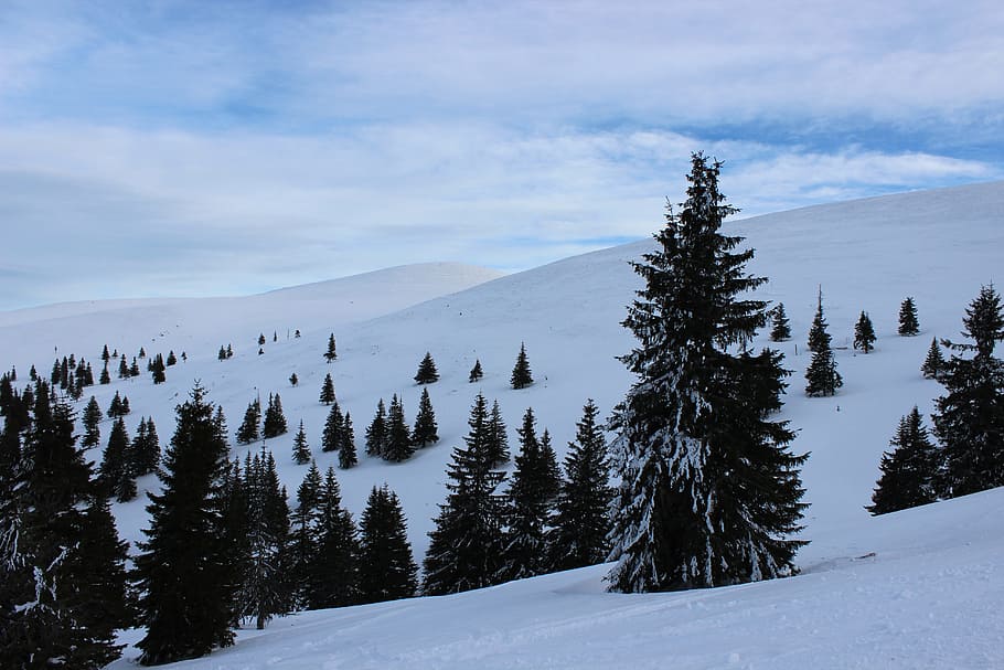 Invierno, cielo, nieve, frío, naturaleza, azul, bosque, enero, montaña, paisaje