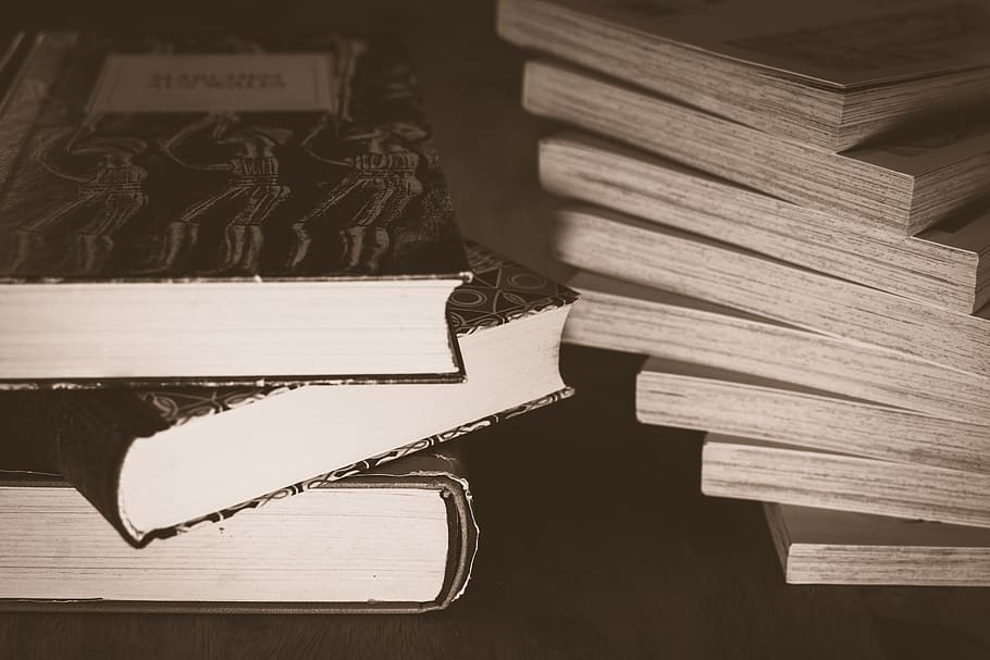educação, literatura, biblioteca, livro, sabedoria, pilha, estudo, leitura, literária, papel