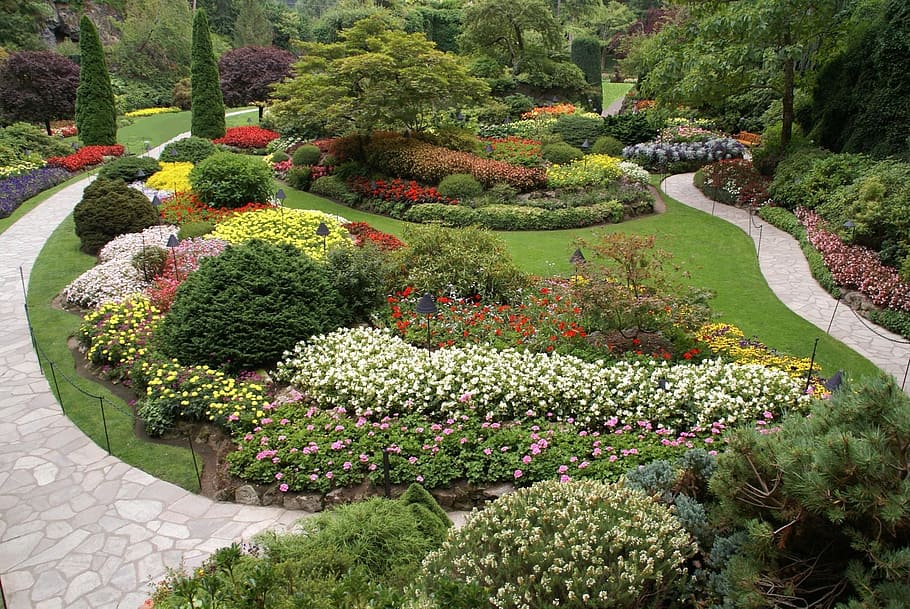 flower garden, trees, daytime, butchart, botanical garden, butchart gardens, garden, gardens, landscape, park