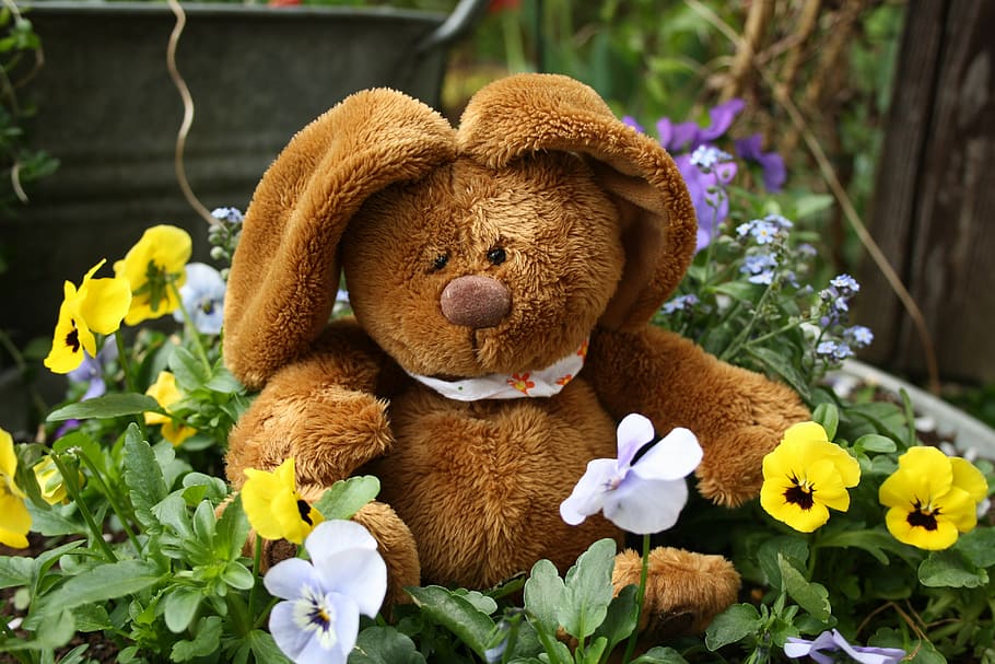easter, hare, easter bunny, flowers, spring, easter greetings, teddy Bear, bear, toy, cute