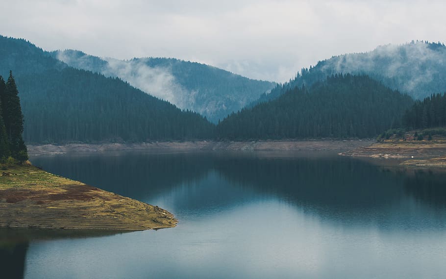 lake, river, water, trees, forest, foggy, clouds, landscape, nature, mountains