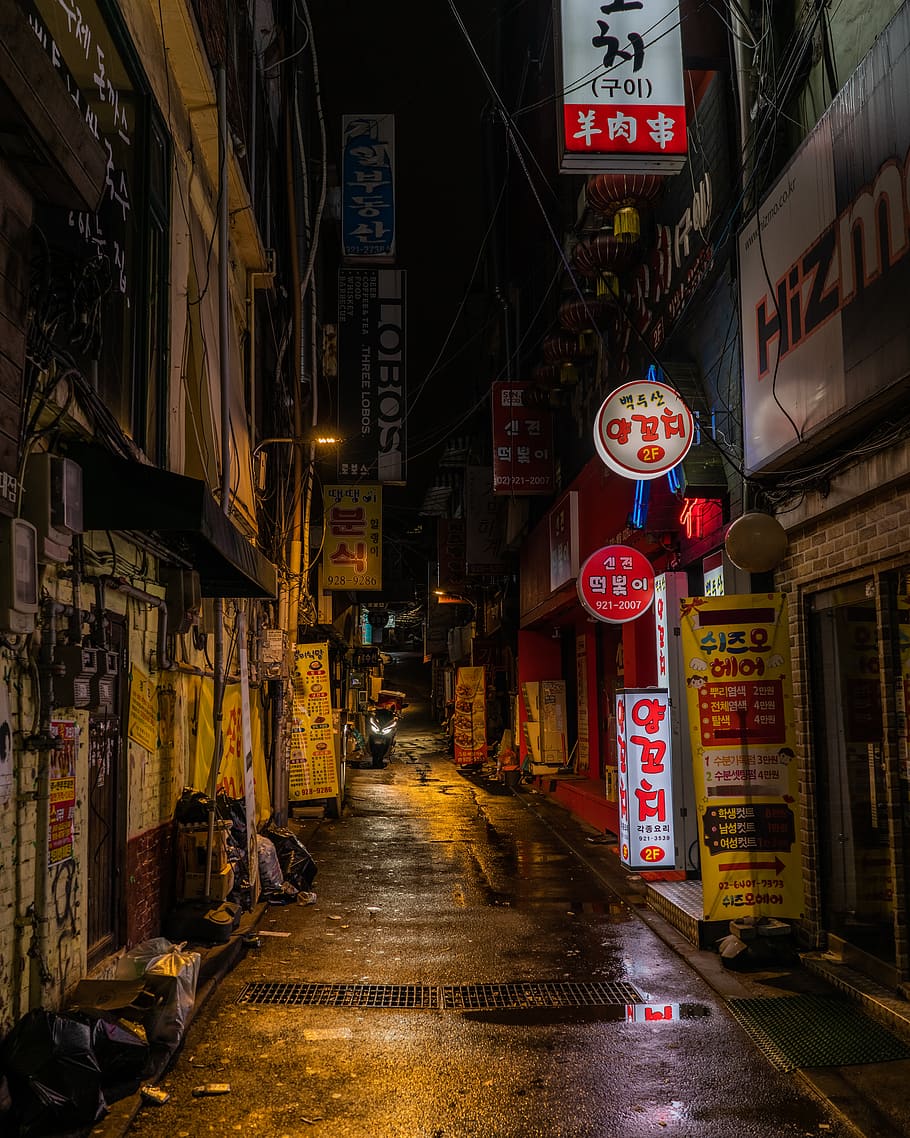 street, neon, cyberpunk, korea, asia, seoul, cyber, alleyway, dark, scary