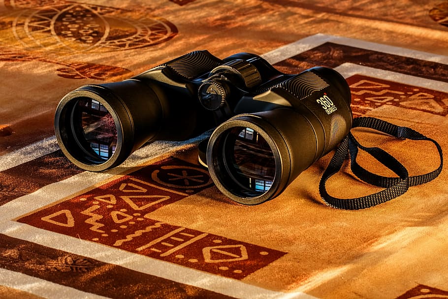 black, binoculars, mat, birdwatching, spy glass, spying, dawn, spy, watch, look