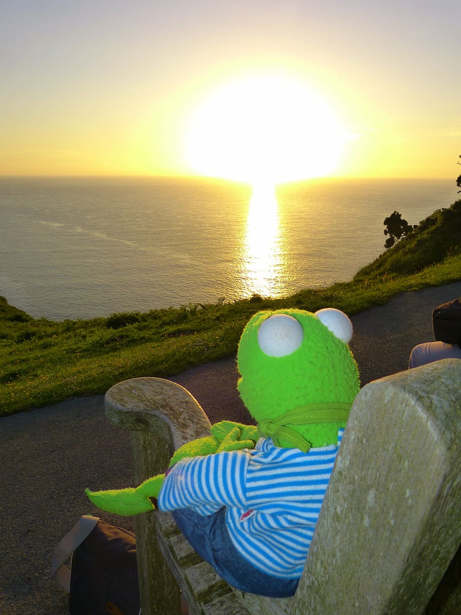 kermit, frog, sunset, to watch, outlook, sea, romantic, holiday, water, sky