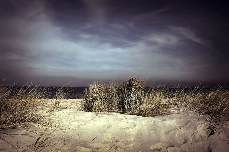 dunas, paisagem das dunas, grama, areia, proteção costeira, mar, mar Báltico, reserva natural, paisagem, natureza