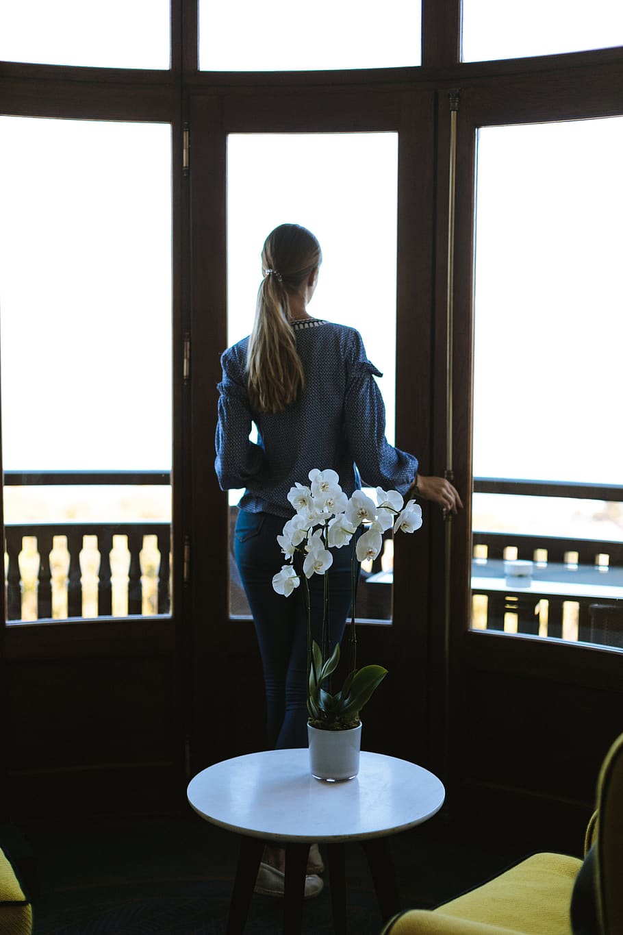 orchid, woman, window, ponytail, female, plant, chair, view, thoughtful, scene