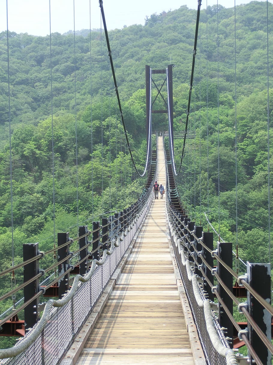 Suspension Bridge, bridge, suspension, trees, woods, forest, crossing, japan, rope bridge, bridge - man made structure