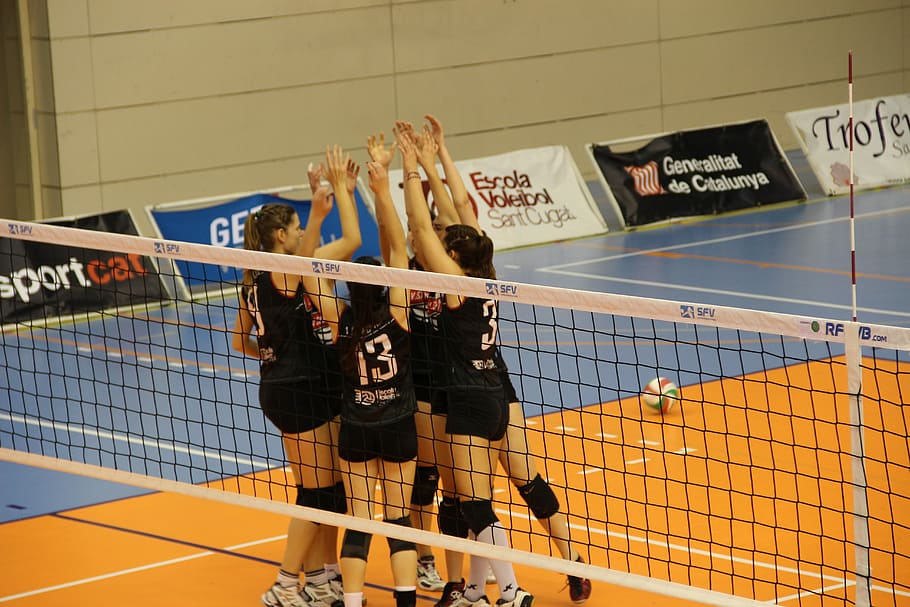 mulher, preto, camisa de voleibol, voleibol, festa, esporte, mulheres, vitória, equipe, juntos