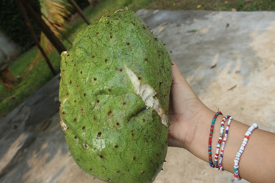 fruit, guanabana, healthy, green, delicious, agriculture, vegetarian, tree, find, natural