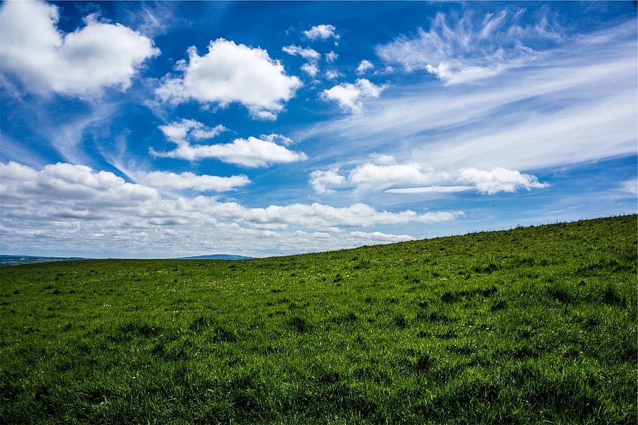 green, grass, blue, white, clouds, surface, daytime, field, sky, landscape