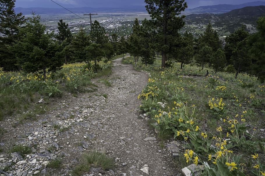 powerline trail, mount, helena, powerline, trail, Mount Helena, grass, hiking, montana, public domain