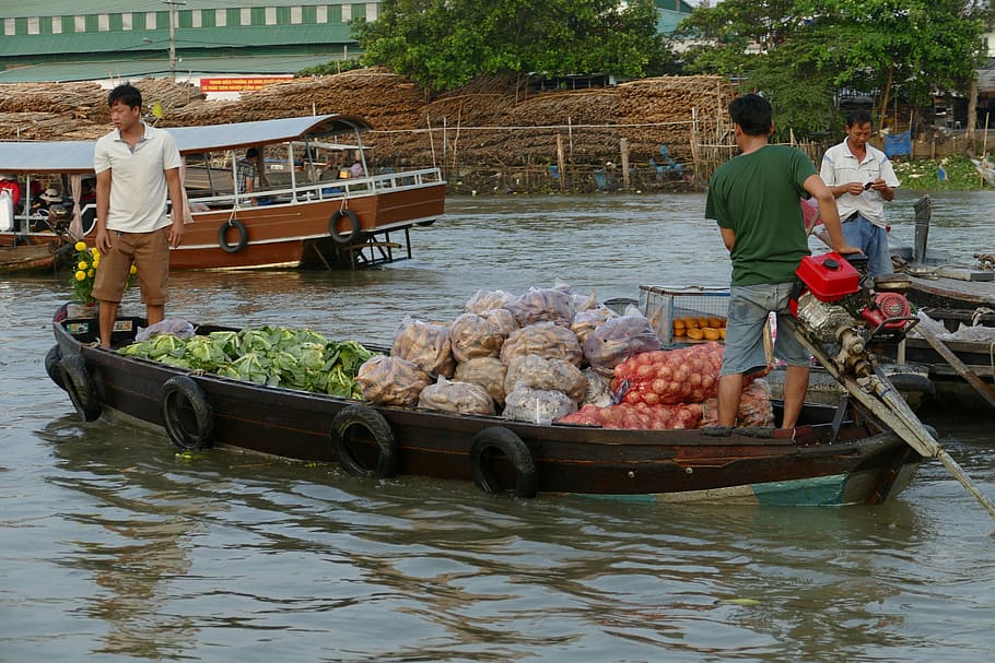 Vietnam, Sungai Mekong, Delta Mekong, perjalanan kapal, sungai, pasar, pasar terapung, sepatu bot, transportasi, perdagangan