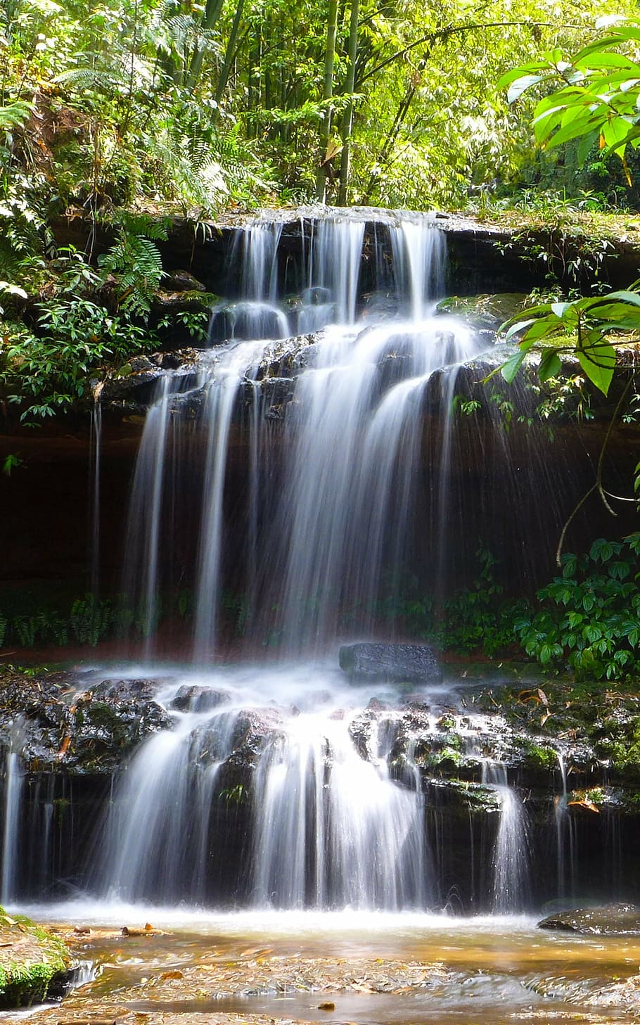 riacho, água corrente, cai, scenics - natureza, água, beleza natural, longa exposição, cachoeira, árvore, floresta