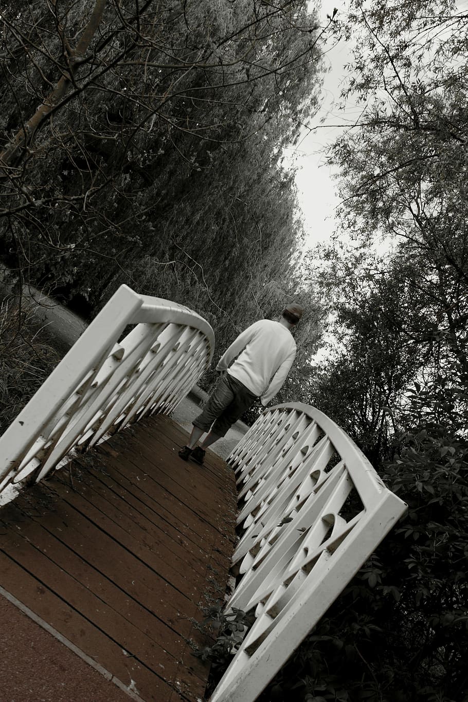 fotografía en escala de grises, puente, árboles, Hombre, Caminando, Cruzando, Verano, parque, primavera, naturaleza