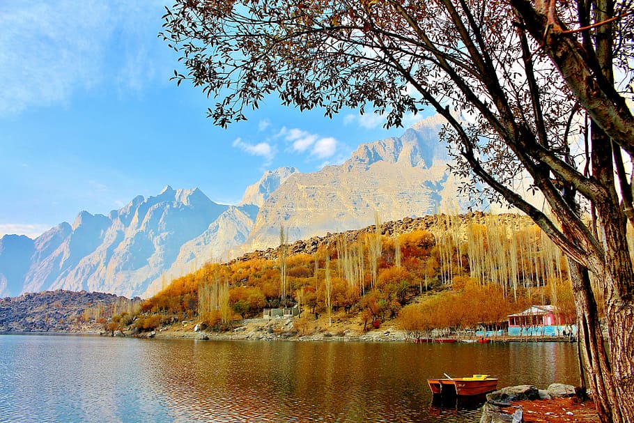 barco, ao lado, alto, árvores, corpo, água, árvore, lago, Paquistão, natureza