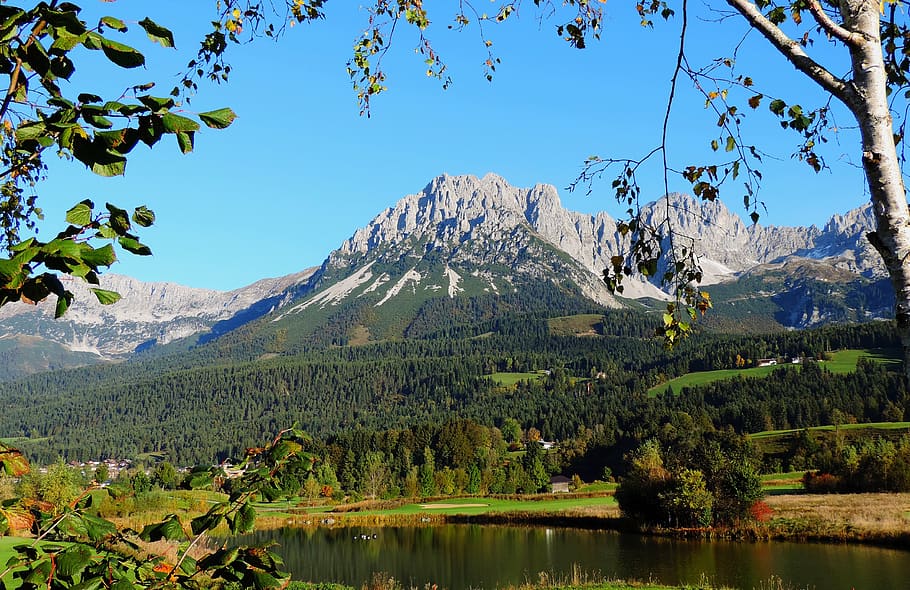 wilderkaiser, tirol, montañas alpinas, kaiser, austria, montaña, árbol, pintorescos - naturaleza, belleza en la naturaleza, planta