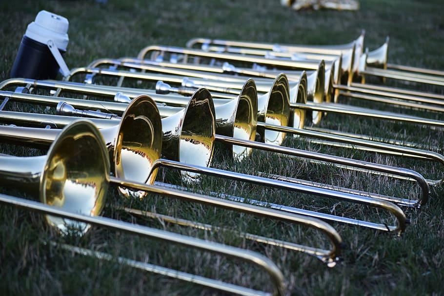 trompetas de latón, alineado, verde, hierba, azul, blanco, fotografía de primeros planos de jarras de agua, música, instrumentos musicales, cuernos