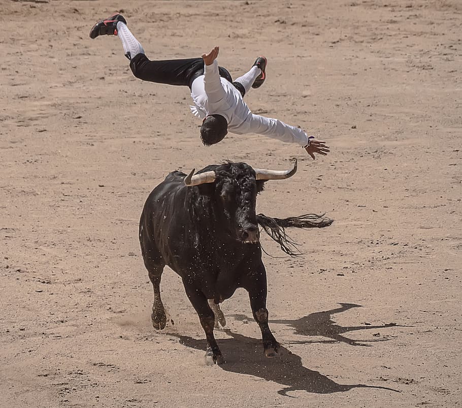 man, floating, bull, Trimmers, Torero, Bullfighters, Sales, madrid, bulls, spain