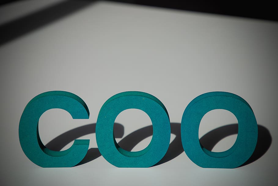 coo, letters, uppercase letters, word, typography, alphabet, learn, education, design, english