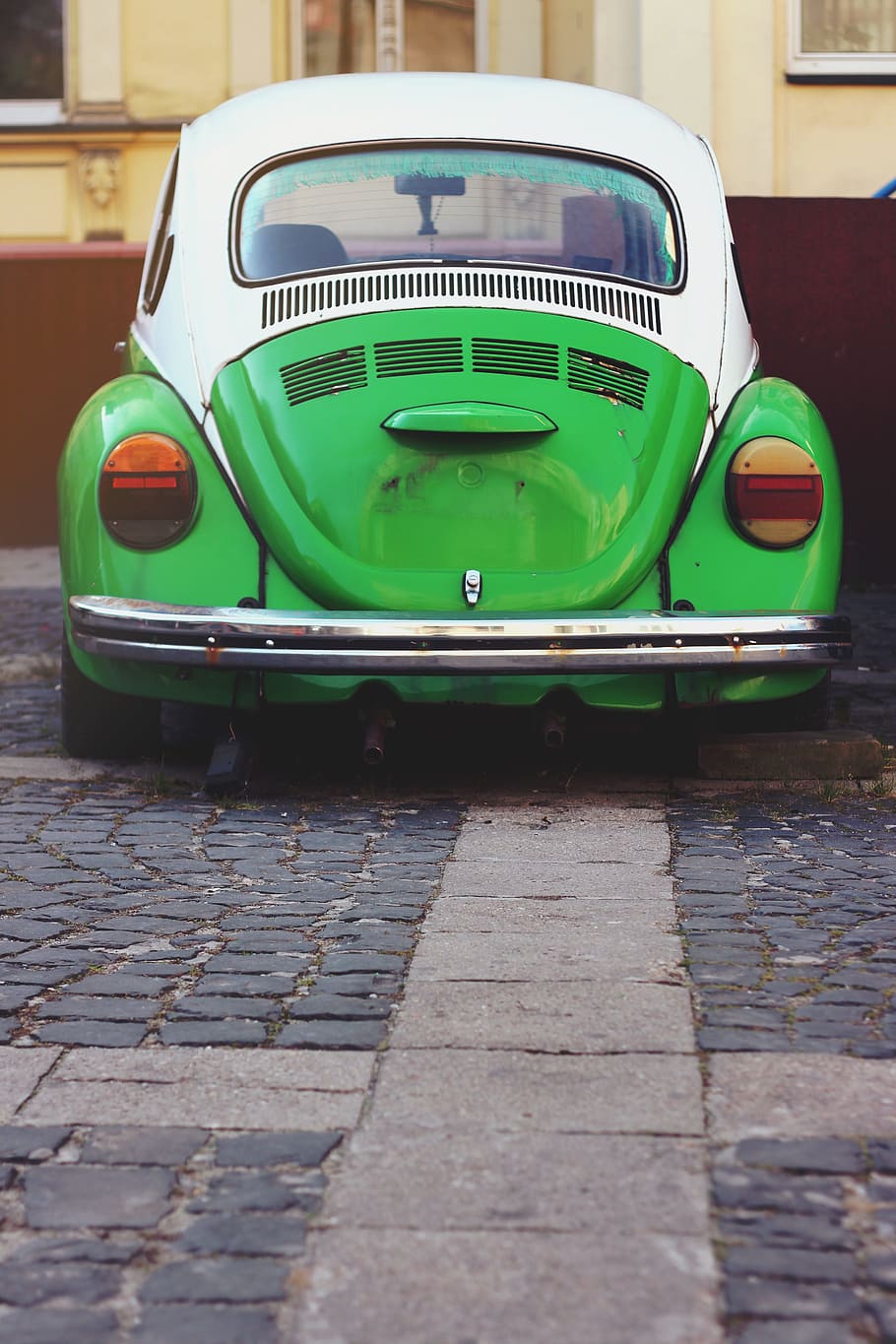 hijau, putih, volkswagen beetle tipe 1, parkir, pinggir jalan, siang hari, mobil, vw, volkswagen, beetle