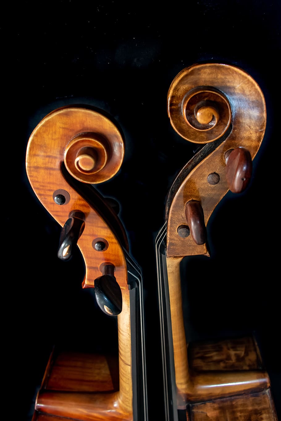 seduction, cello, sound, classic, brown, symphony, concert, orchestra, musical, string