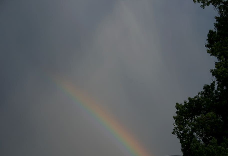 arco-íris, circular, multicolorido, 7 cores, promessa, céu, fenômeno climático, tempestade, clima, nublado
