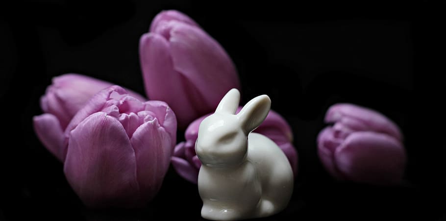 white, ceramic, rabbit figurine, purple, tulip flowers, black, platform, tulips, flowers, hare