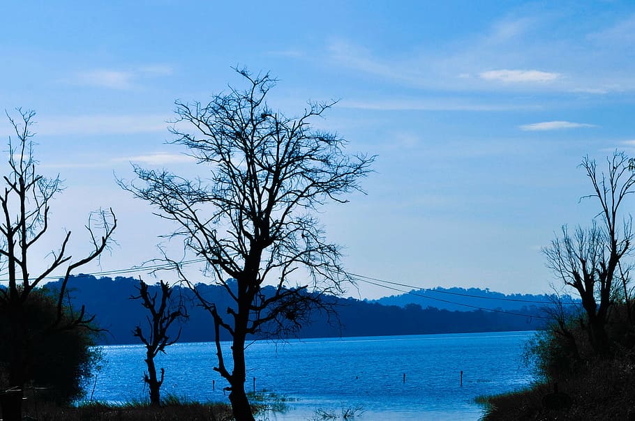 blue, sky, lakes, water, river, flowing, trees, branches, silhouettes, plants