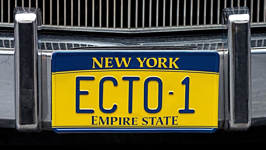 new, york ecto, ecto-1, empire state license plate, ghostbusters, licence, plate, registration, new york, values