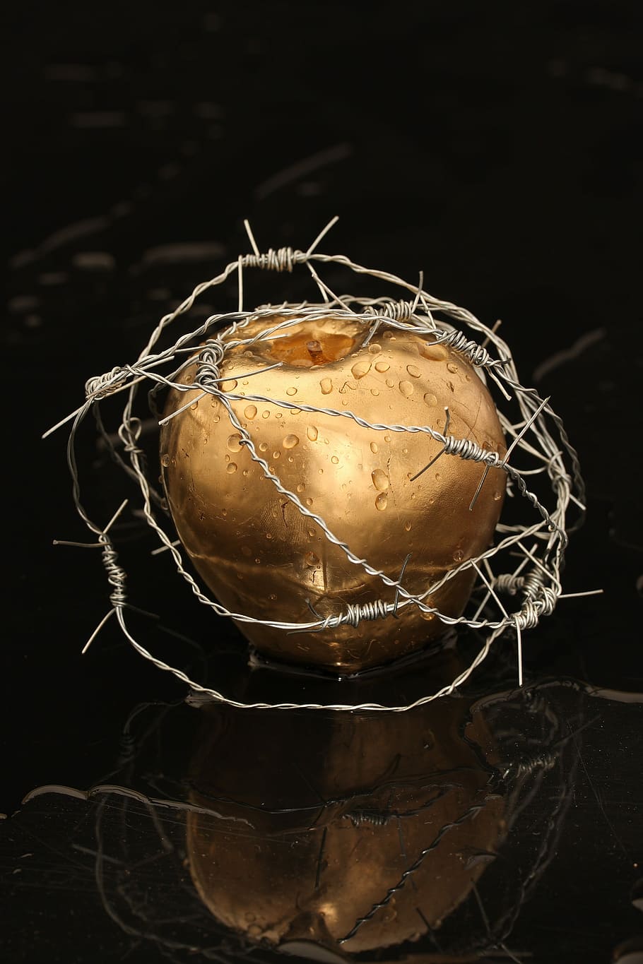 gold apple, barbed, wires, black, surface, apple, bondage, paradise, to get fired, gold