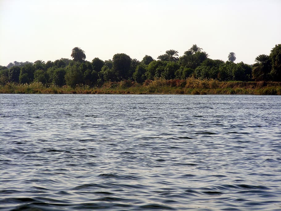 river nile, egypt, sphinx, nile, tree, water, plant, beauty in nature, tranquility, waterfront