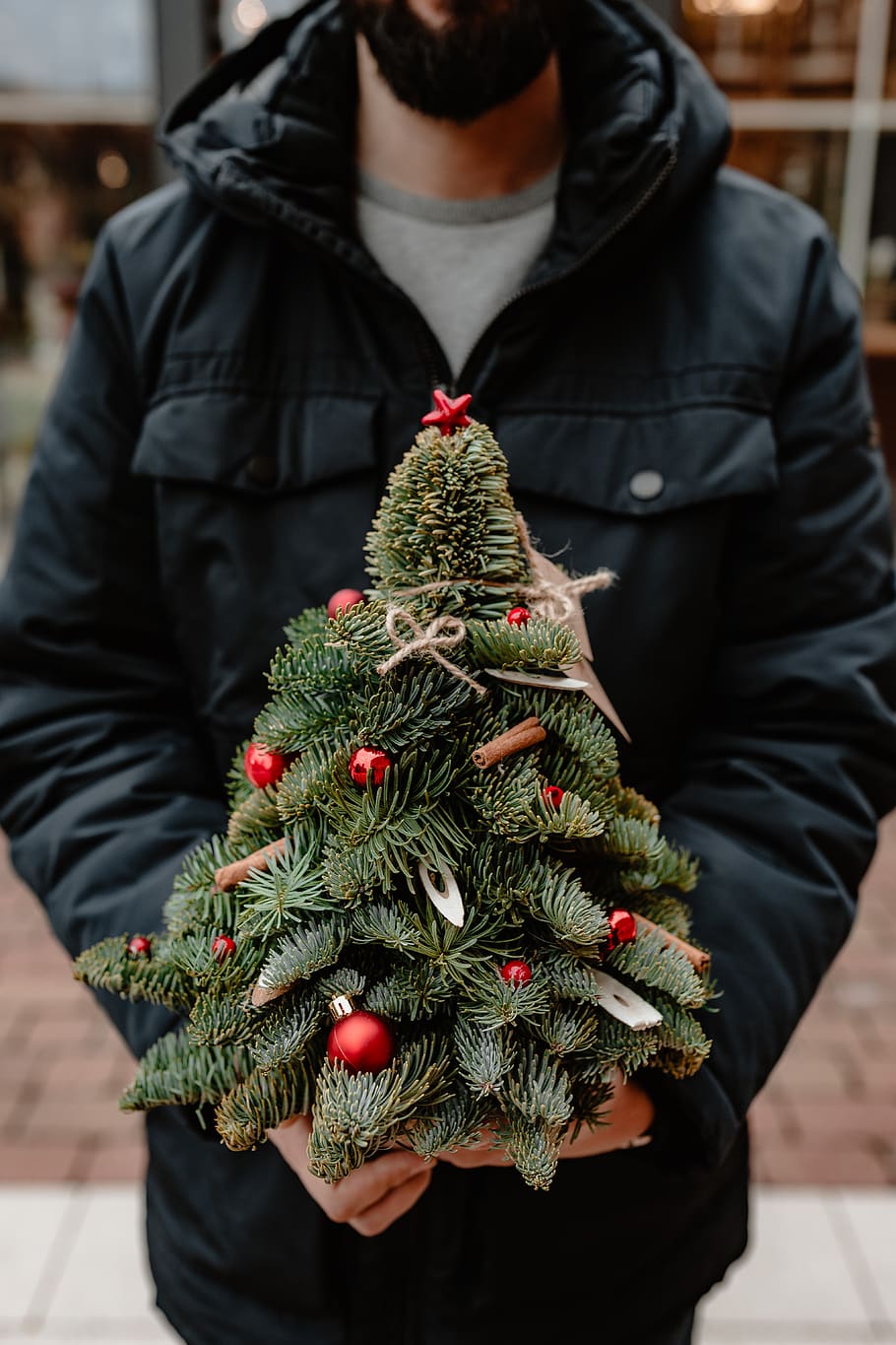pohon Natal, kecil, xmas, Desember, liburan, pohon, merapikan, merah, manusia, memegang