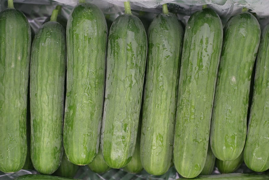 mini cucumbers, cucumbers, salad, vegetables, healthy, frisch, mini cucumber, gherkins, eat, plant